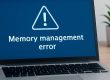memory management error